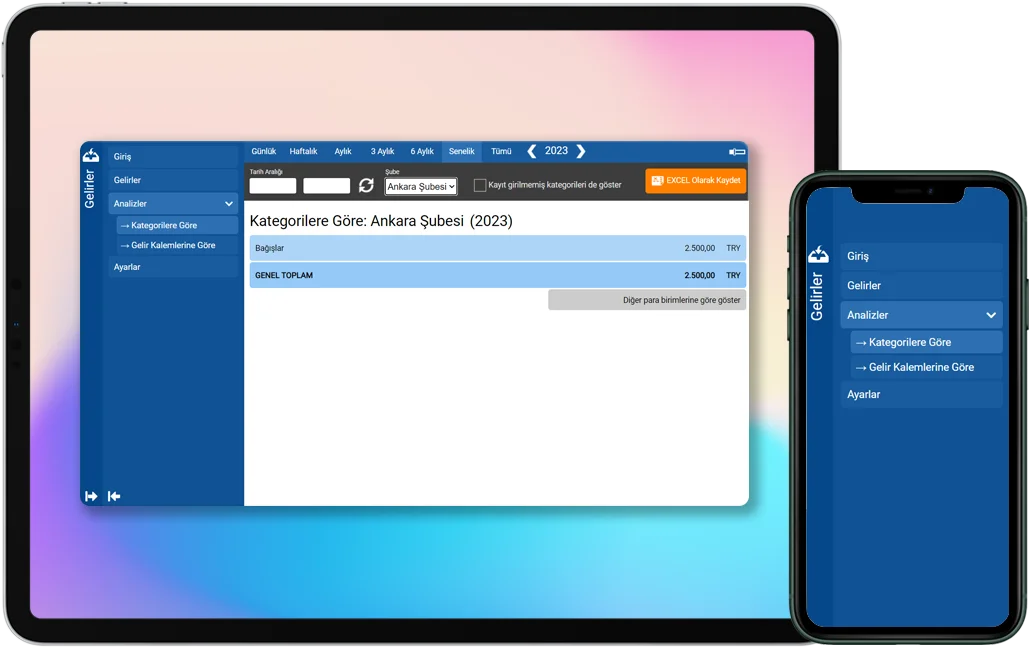 Şubelere Göre & Gelir ve Gider Ayrımı